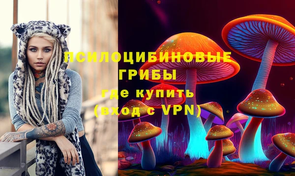 метадон Алексин