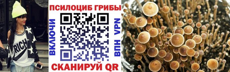 omg ССЫЛКА  Калтан  Псилоцибиновые грибы Psilocybine cubensis 